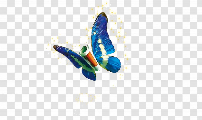 Information Technology - Shape - Butterfly Transparent PNG