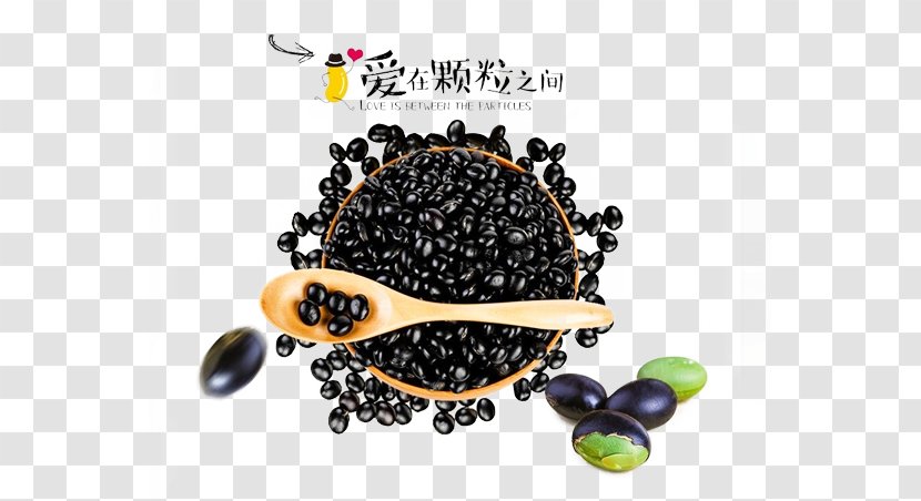 Black Turtle Bean Soybean Five Grains - Nutrition - Free To Pull The Beans Picture Material Transparent PNG