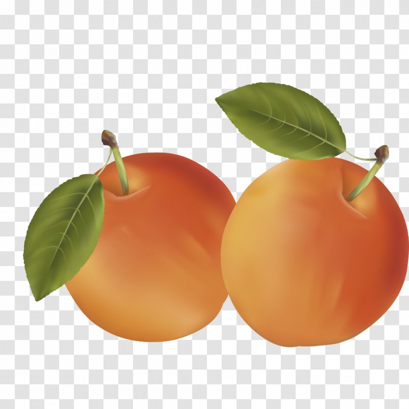 Clementine Mandarin Orange Auglis Fruit - Peaches Transparent PNG