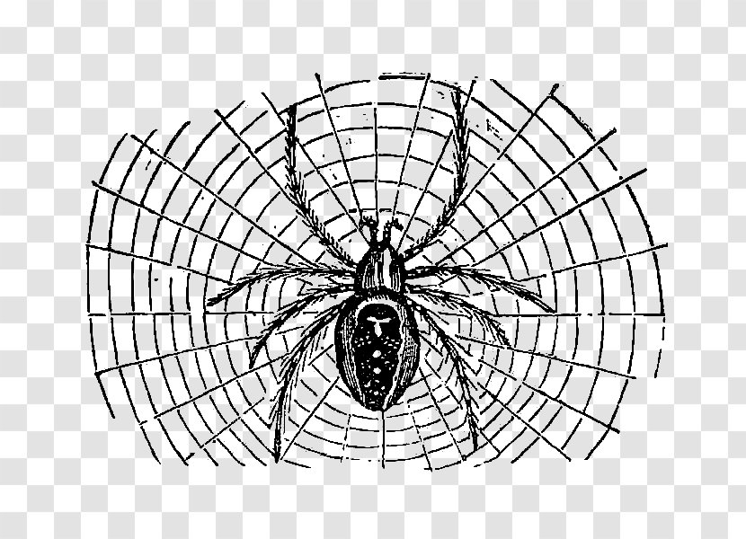 Spider Web Halloween Clip Art - Graphic Transparent PNG