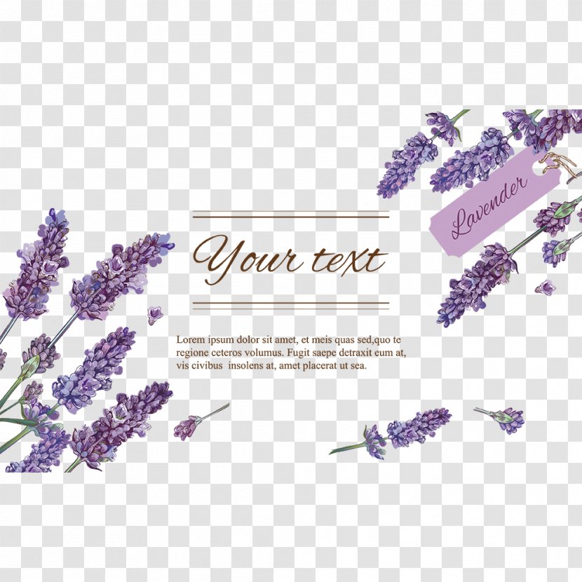 Vector Graphics Stock Photography Royalty-free Illustration - Lilac - Lavender Border Transparent PNG