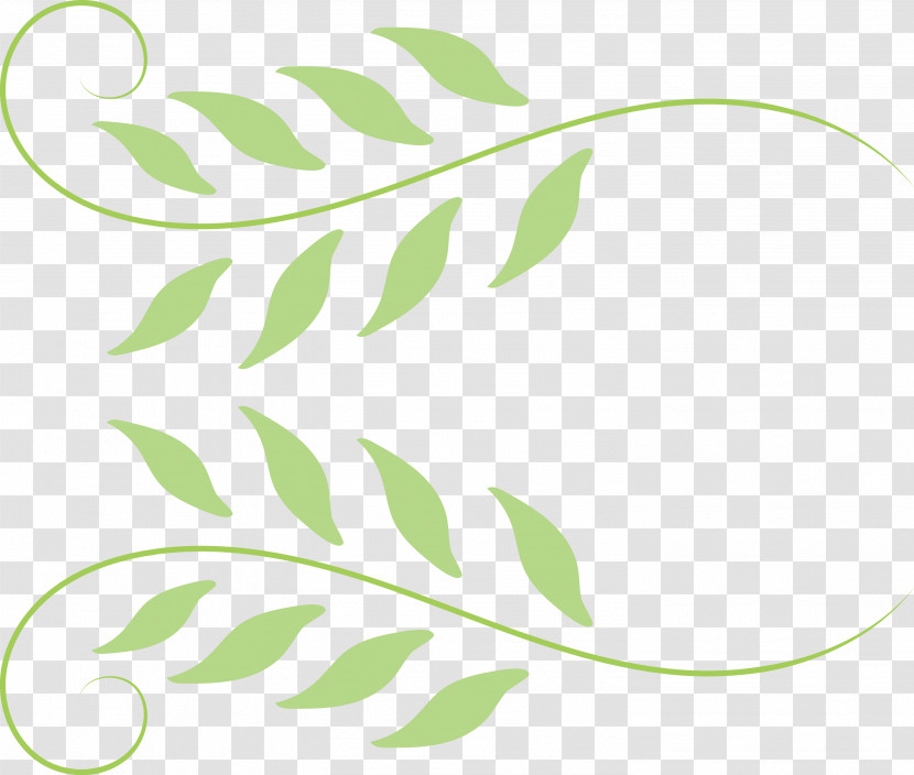 Leaf Plant Stem Logo M-tree Line Transparent PNG