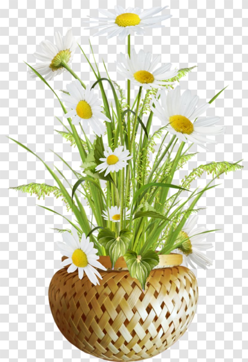 Flowerpot Image Download - Plant - Flower Transparent PNG