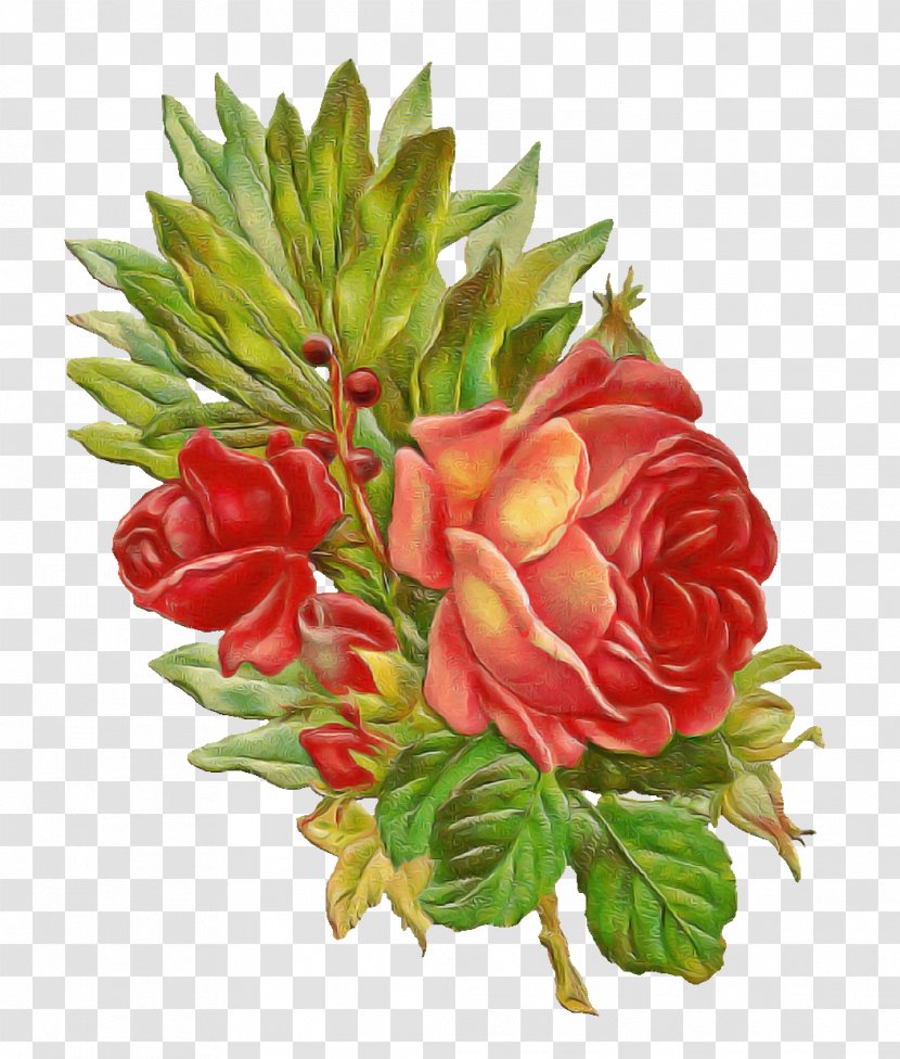 Garden Roses - Petal Rose Family Transparent PNG