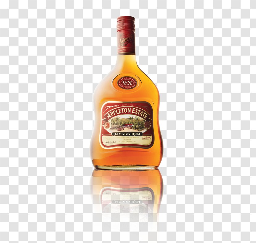 Liqueur Light Rum Tequila Liquor - Mai Tai Transparent PNG