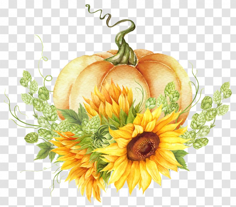 Common Sunflower Cut Flowers Floral Design Cucurbita - Marigolds - Flower Transparent PNG