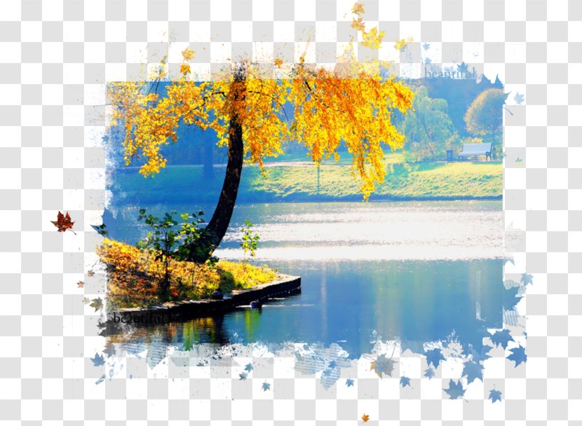 Autumn Desktop Wallpaper Color - Painting Transparent PNG