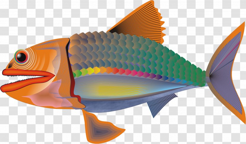 Fish Desktop Wallpaper Clip Art - Marine Biology - Red Transparent PNG