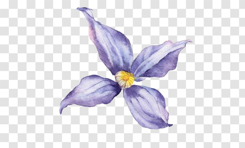 Flower Vecteur - Lilac - Hand-painted Purple Delphinium Transparent PNG