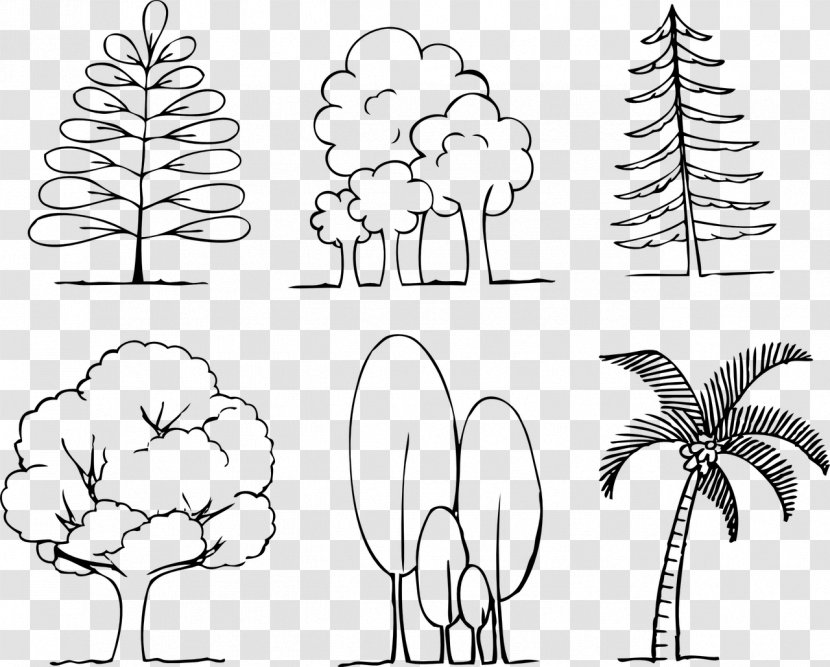 Floral Design Human Behavior White Pattern - Area - Drawing Doodle Transparent PNG