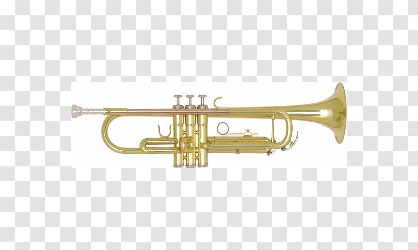Trumpet Brass Instruments Lacquer Cornet Getzen - Flower Transparent PNG