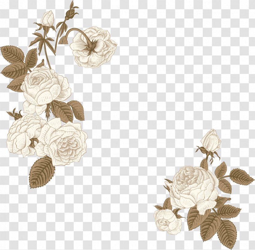 Flower Peony - Painted Transparent PNG