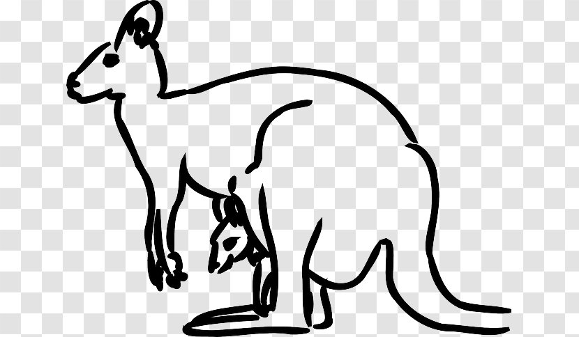 Kangaroo Coloring Book Clip Art - Carnivoran - Boxing Transparent PNG