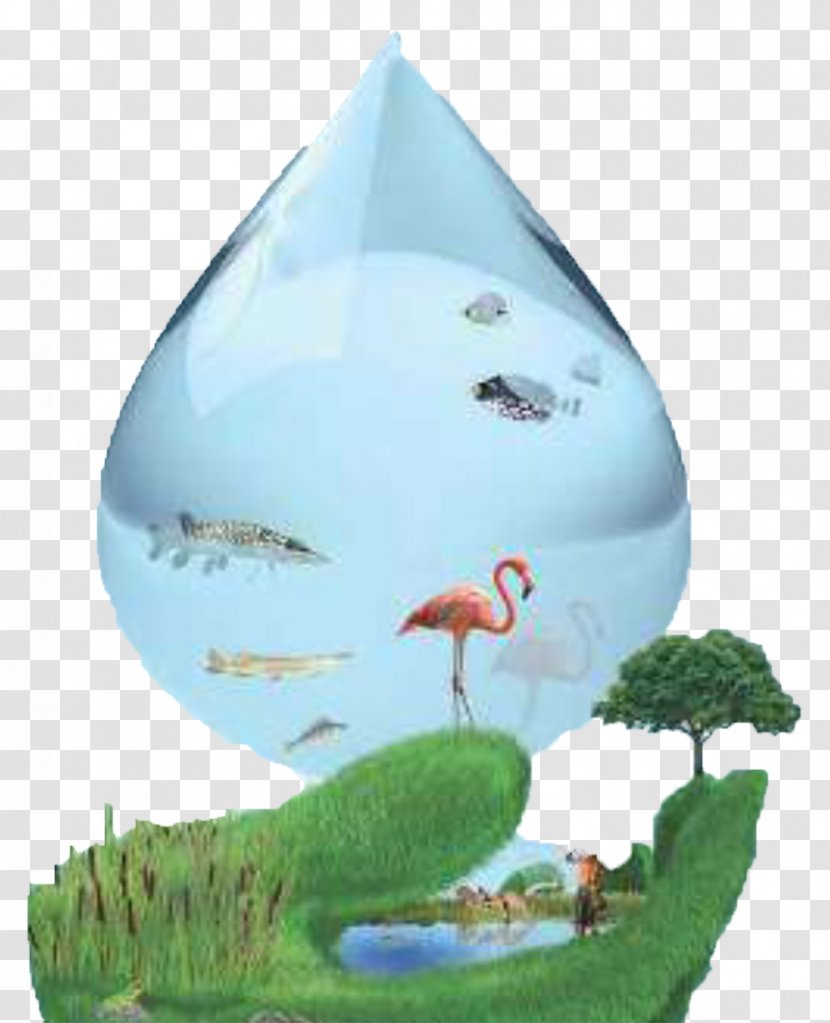 World Wetlands Day Ramsar, Mazandaran Water Transparent PNG
