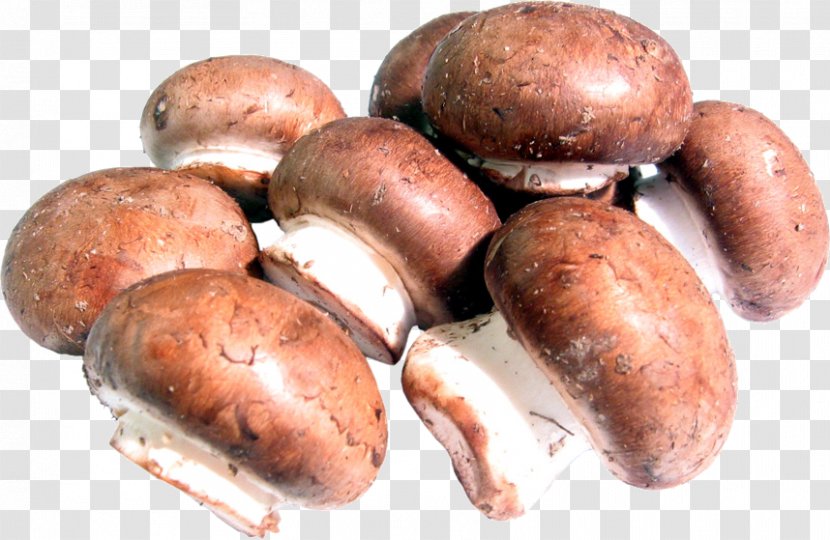 Common Mushroom Shiitake Edible Food - Agaricomycetes Transparent PNG