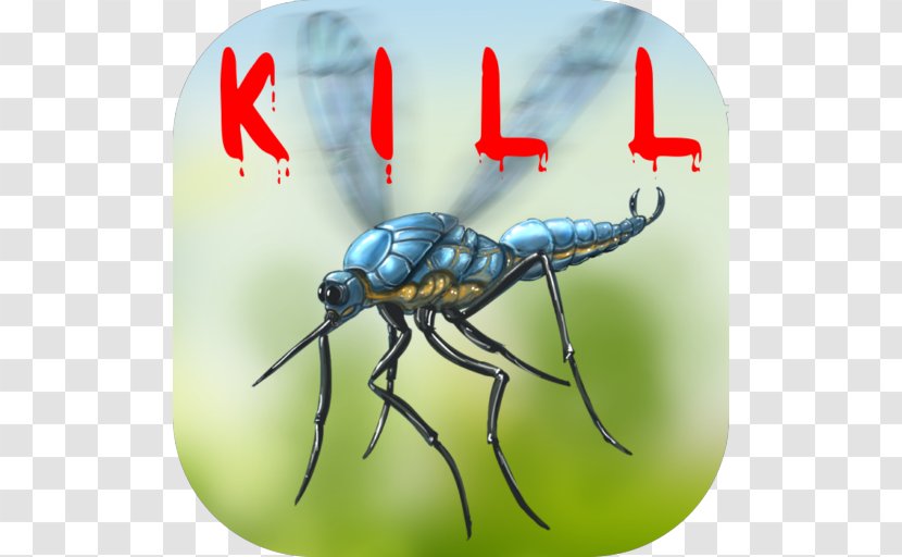 Mosquito Household Insect Repellents Weevil Google Drive - Organism Transparent PNG