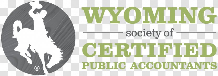 Cody WYOCPA Keyword Tool Research C Hamilton & Associates, Inc. - Logo Transparent PNG