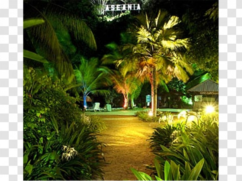 Aseania Resort Langkawi Landscape Lighting Transparent PNG