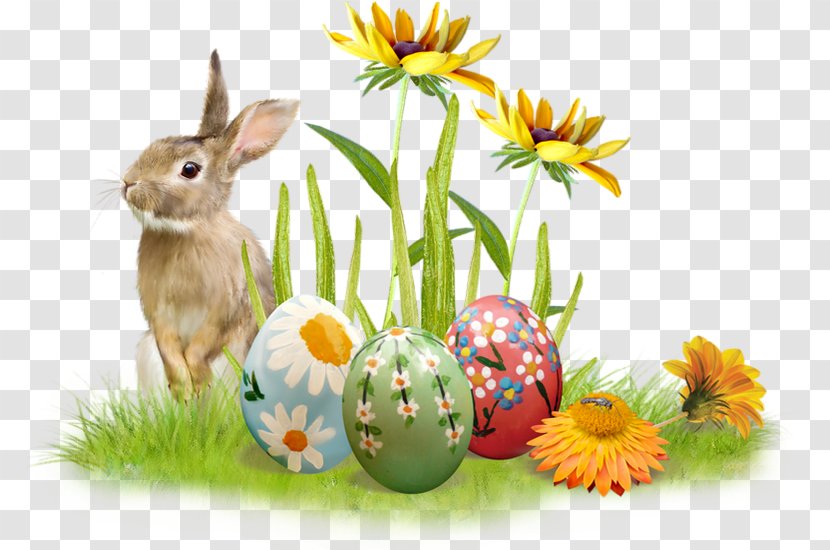 Easter Bunny Taxi Philippe Briquet Egg Hunt - Organism - Frame Transparent PNG