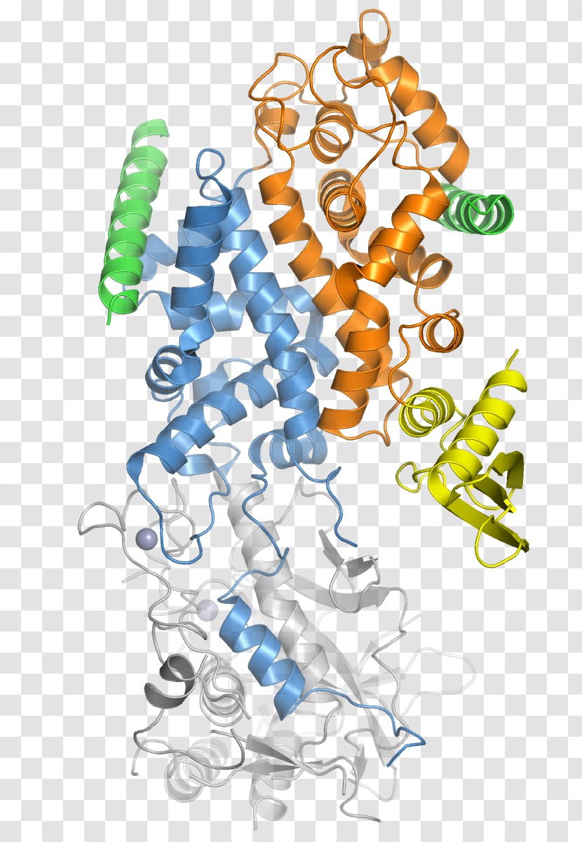 Drosha MicroRNA Ribonuclease III DGCR8 - Stemloop - Cleaves Transparent PNG