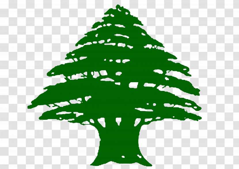 Flag Of Lebanon Phoenicia Cedrus Libani Mount - Branch - Fir-tree Transparent PNG