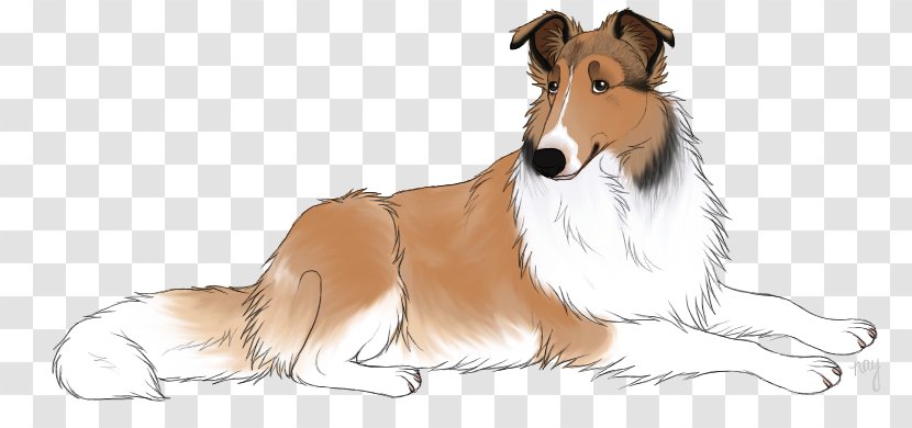 Rough Collie Shetland Sheepdog Dog Breed Smooth Scotch - Watercolor - Animation Transparent PNG