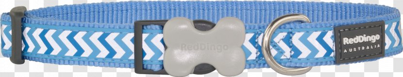 Dingo Dog Blue Collar Red - Animal Transparent PNG