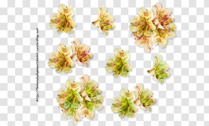 Flower Bouquet Web Browser - Tube Transparent PNG