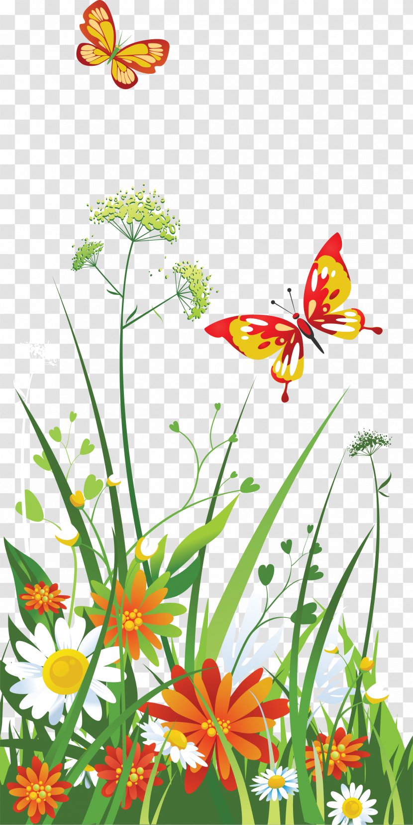 Flower Clip Art - Insect - Flowering Plant Transparent PNG