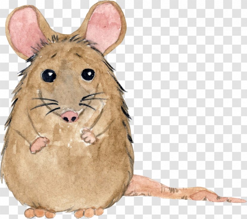 Computer Mouse Desktop Wallpaper High-definition Television Clip Art - Rodent Transparent PNG