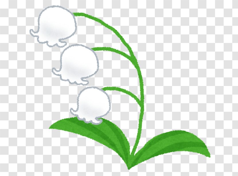 Pharmacy Lily Of The Valley Takino Suzuran Hillside National Government Park Over-the-counter Drug Pharmaceutical - Health Care - Pharmacist Transparent PNG