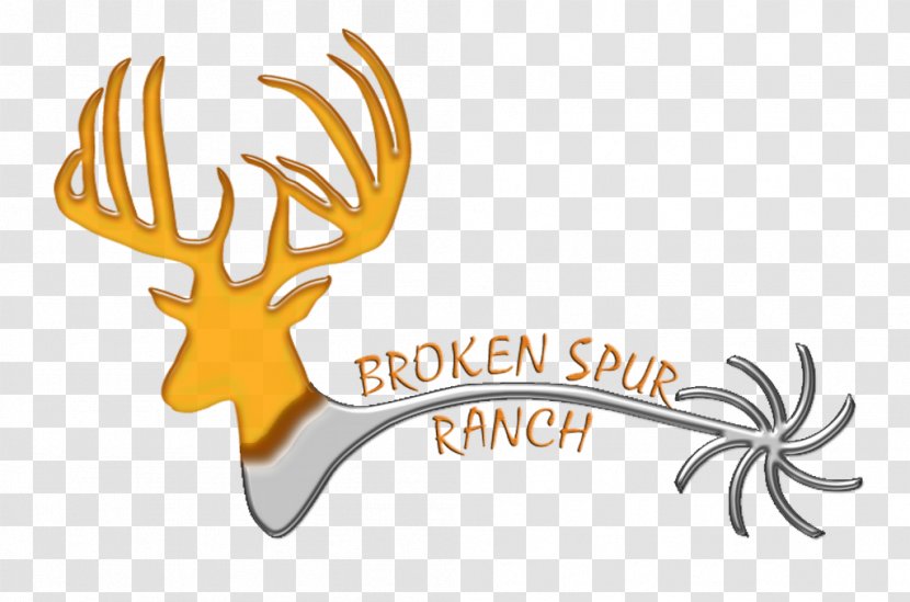 Broken Spur Taxidermy Reindeer Deer Hunting - Horn Transparent PNG