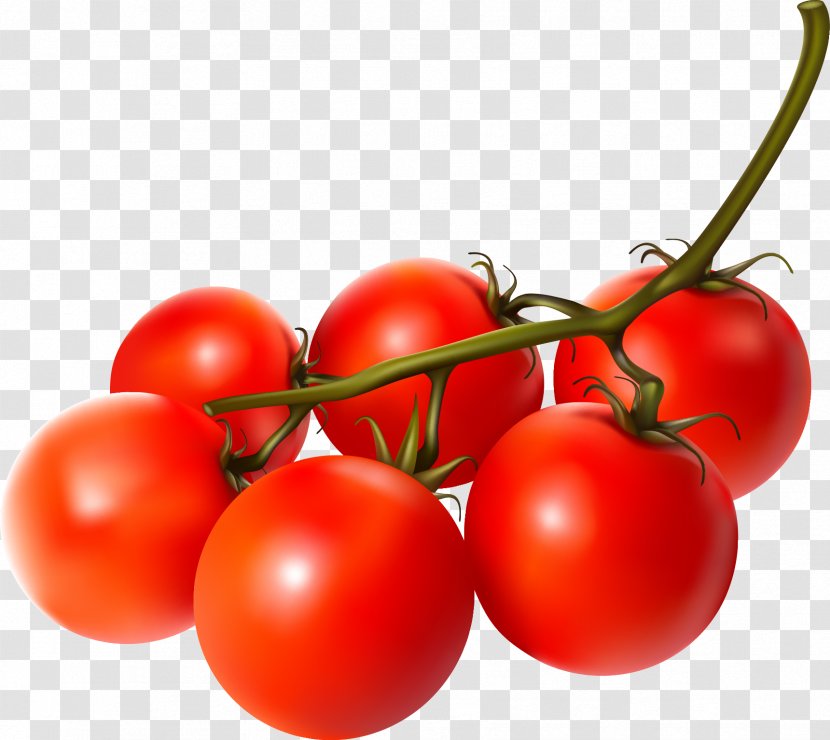 Cherry Tomato Vegetable Fruit - Natural Foods - Tomatoes Transparent PNG