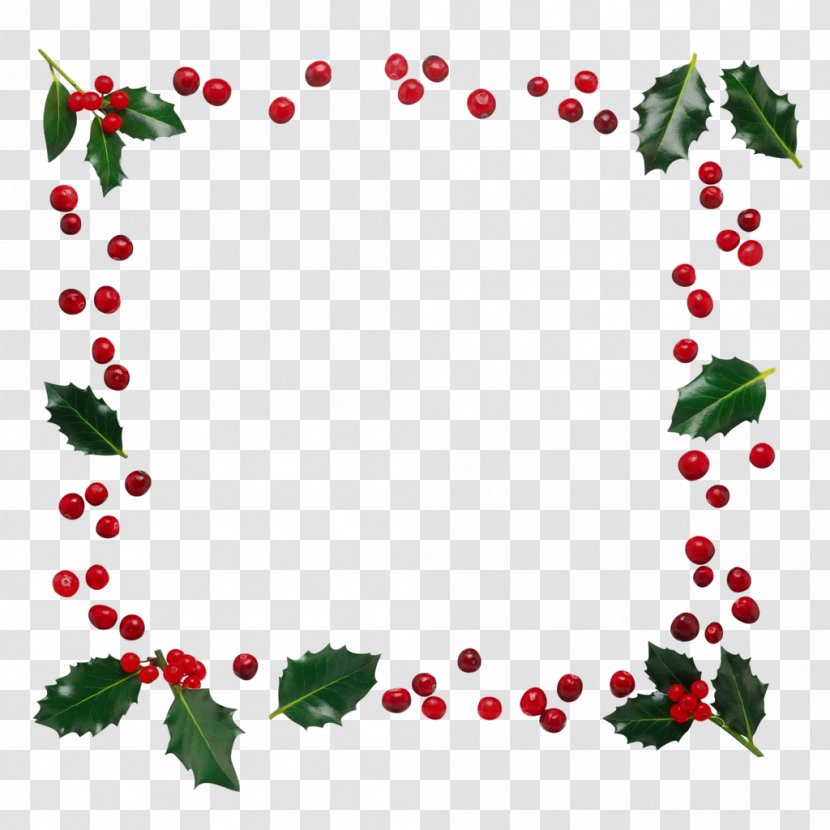 Holly - Ornament Flower Transparent PNG