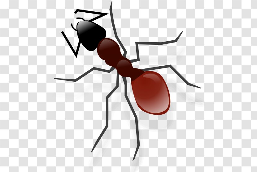 Ant Cartoon - Drawing - Fly Termite Transparent PNG