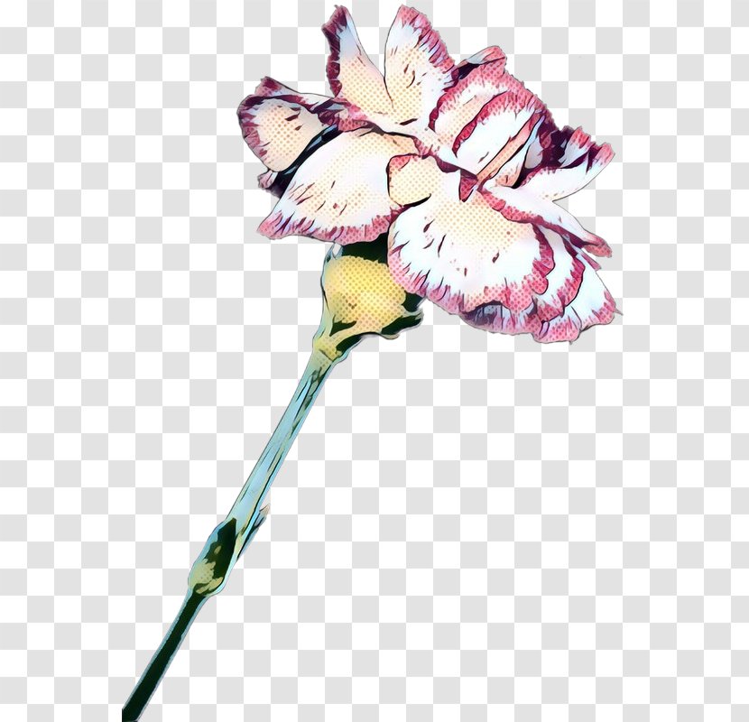 Flowers Wedding Invitation Watercolor - Pedicel - Plant Stem Dianthus Transparent PNG