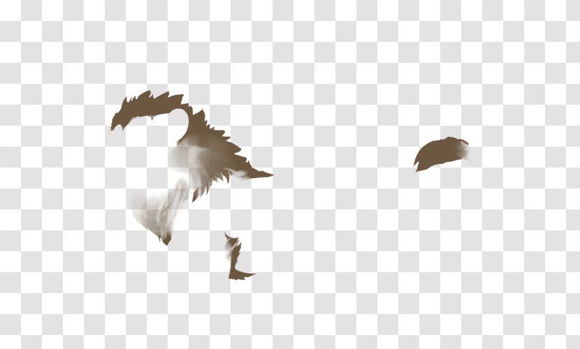 Eagle Bird Onyx Beak Feather - Vitiligo - Hair Back Transparent PNG