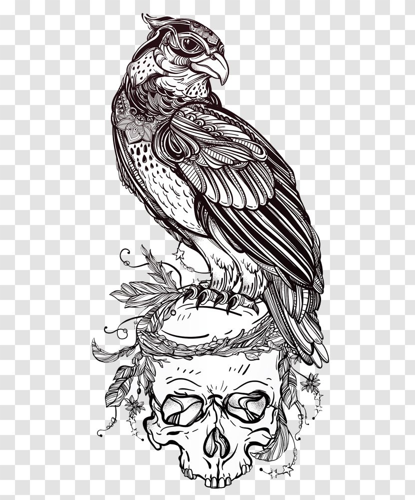Bird Of Prey Owl Drawing - Eagle On Skull Transparent PNG