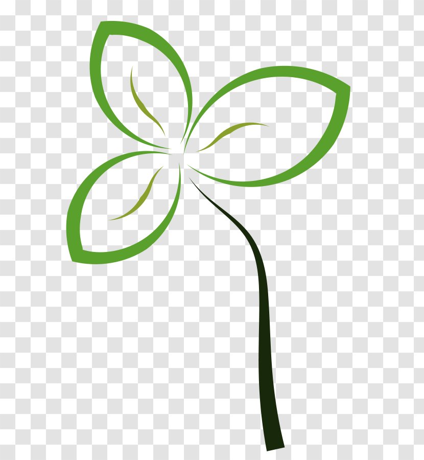 Sprouting Seed Brussels Sprout Clip Art - Area - Flower Petal Outline Transparent PNG