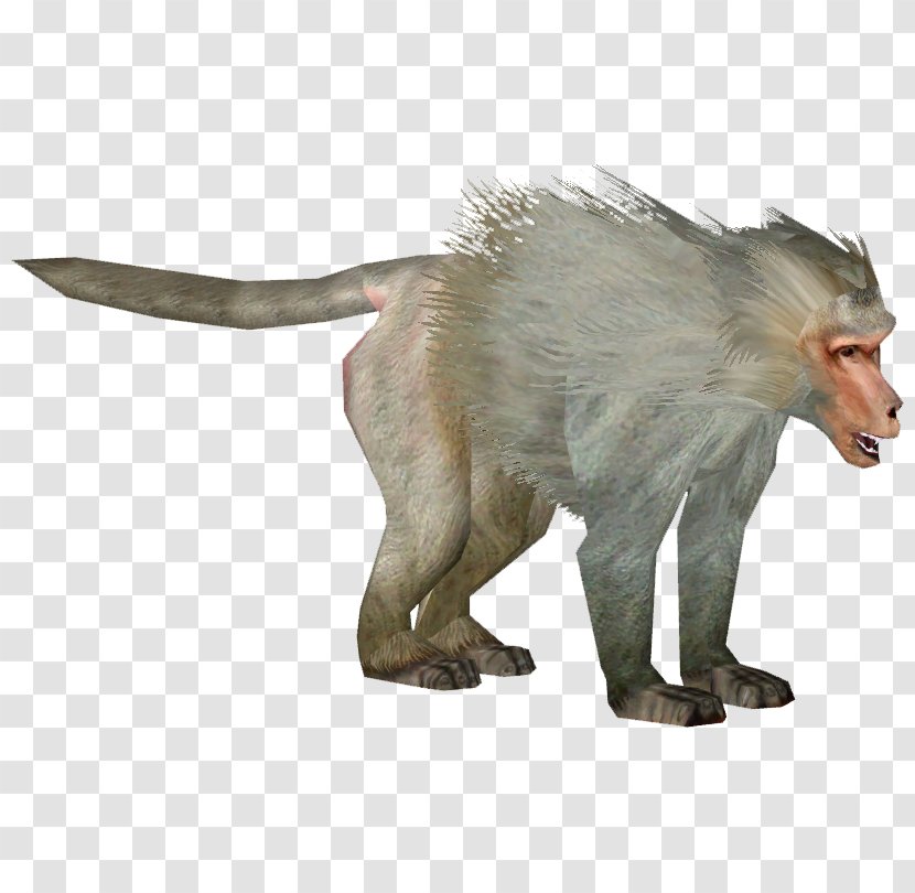 Old World Monkeys Hamadryas Baboon Clip Art Transparency - Monkey - Clapping Transparent PNG