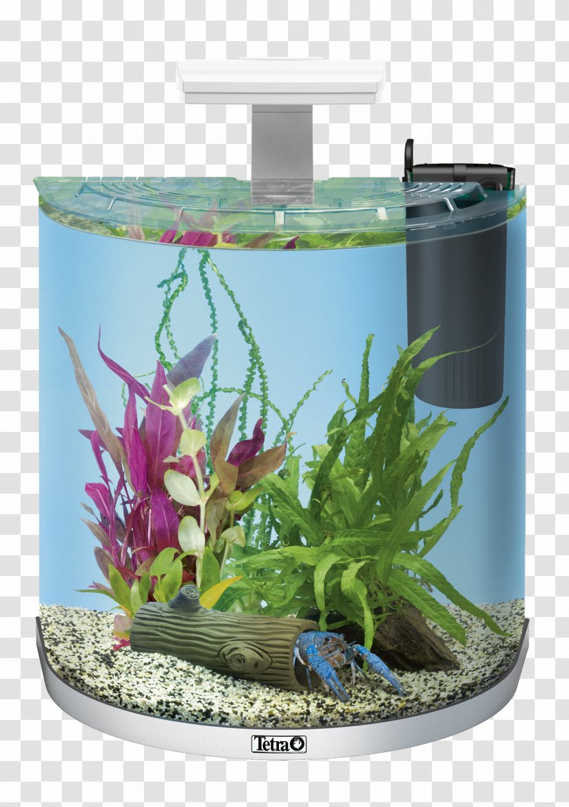 Tetra AquaArt Aquarium Cabinet Light-emitting Diode Wafer Mix - Aquatic Plant - Freshwater Transparent PNG