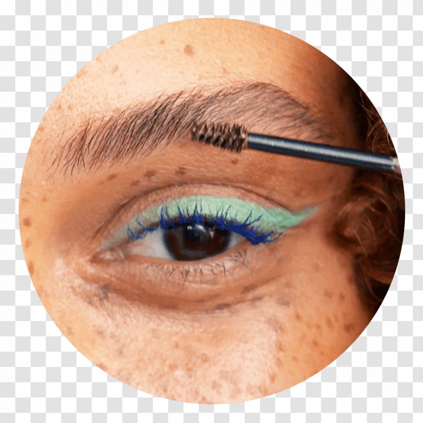 Eyebrow Eyelash Extensions Eye Shadow - Cosmetics - Brow Transparent PNG