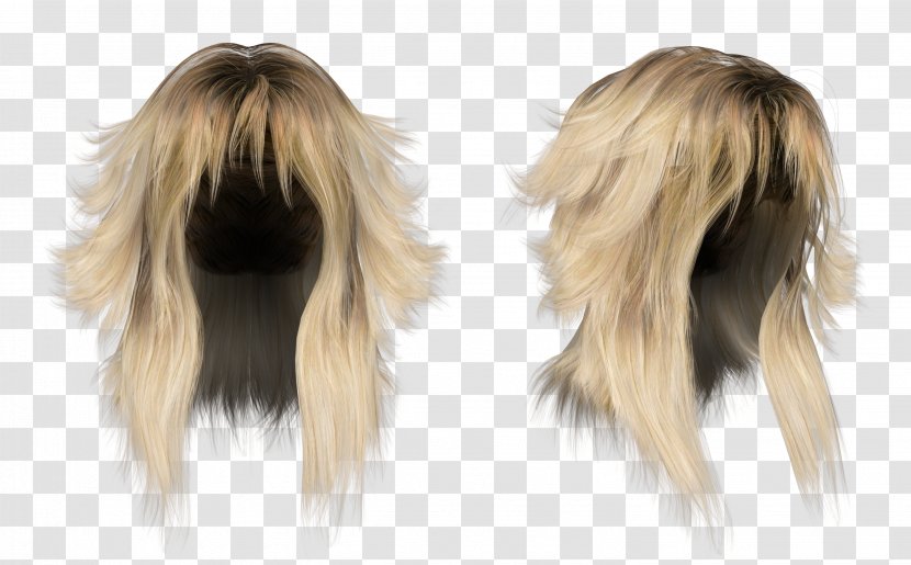 Hairstyle Wig Long Hair - Beard Transparent PNG