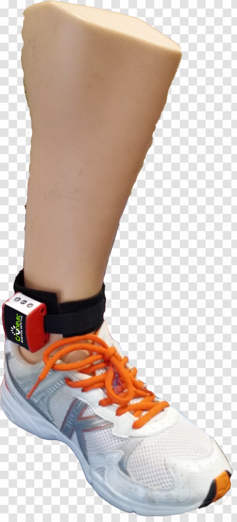 Ankle Shoe - Human Leg - Design Transparent PNG