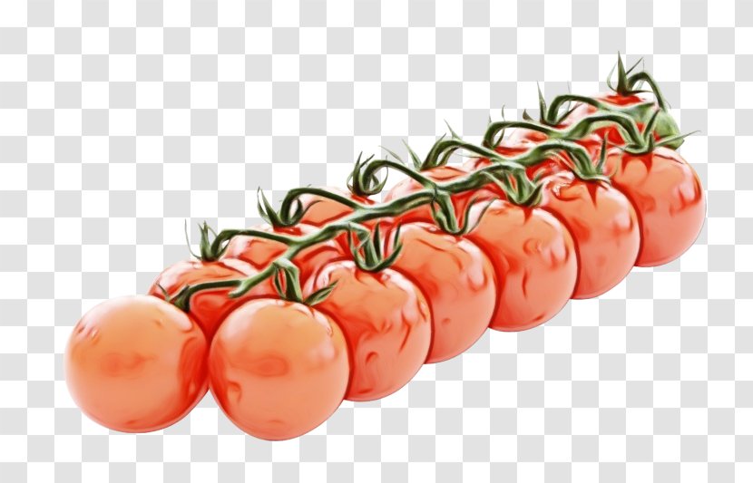 Tomato - Fruit - Nightshade Family Vegetarian Food Transparent PNG