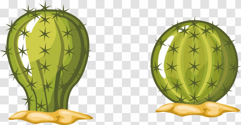 Barbary Fig Cactaceae Succulent Plant - Fruit - Green Cactus Transparent PNG