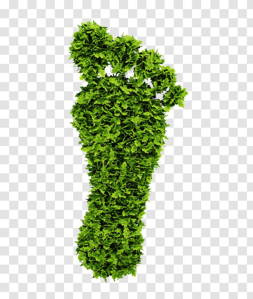 3D Rendering Symbol Royalty-free - Leaf - Plant Transparent PNG