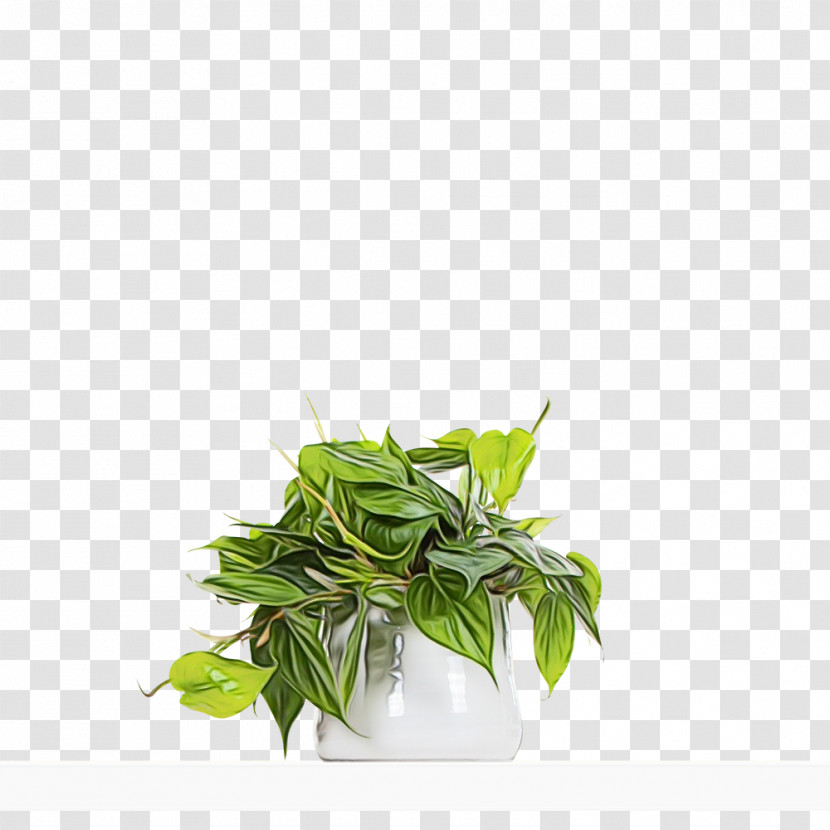Herbal Medicine Leaf Herb Flowerpot Plant Structure Transparent PNG