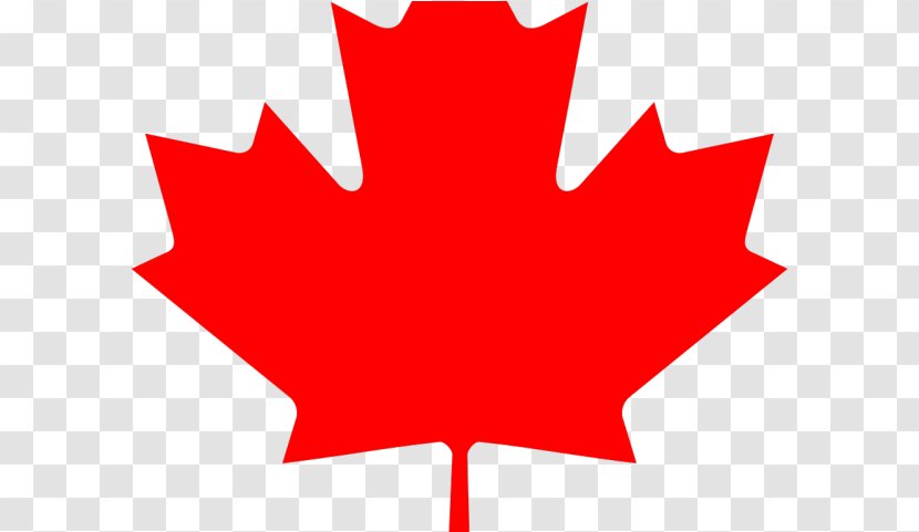 Canada Maple Leaf - Tshirt - Symbol Carmine Transparent PNG