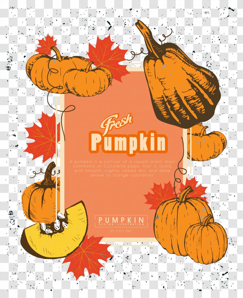 Pumpkin Calabaza Jack-o'-lantern Clip Art - Thanksgiving - Shading Download Transparent PNG